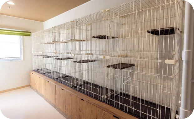 キャットホテル